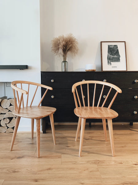 Alabama Hydrological Map Poster (Black)