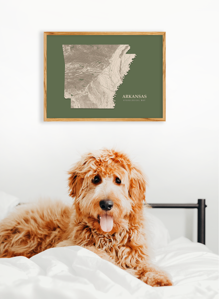 Arkansas Hydrological Map Poster Green