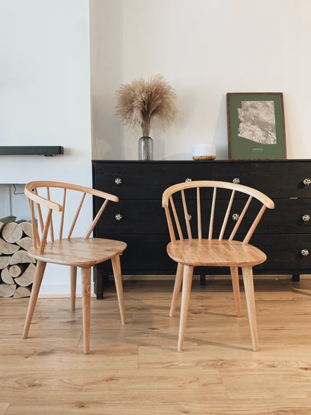 Arizona Hydrological Map Poster Green