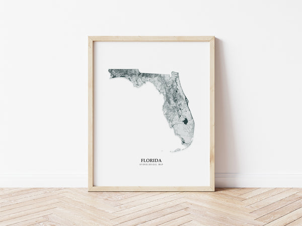 Florida Hydrological Map Poster Black