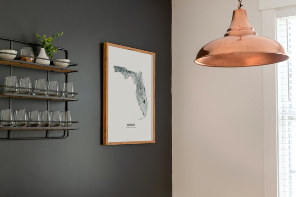 Florida Hydrological Map Poster Black