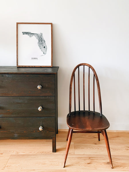 Florida Hydrological Map Poster Black