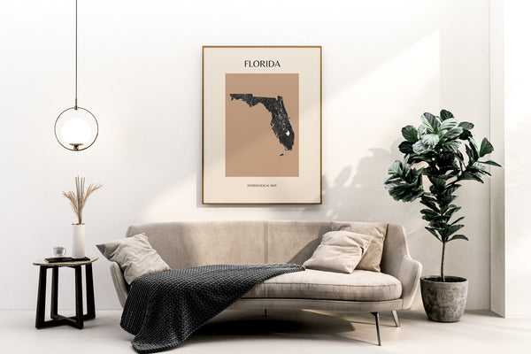 Florida Mid-Century Modern Hydrological Map