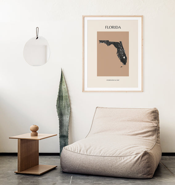 Florida Mid-Century Modern Hydrological Map