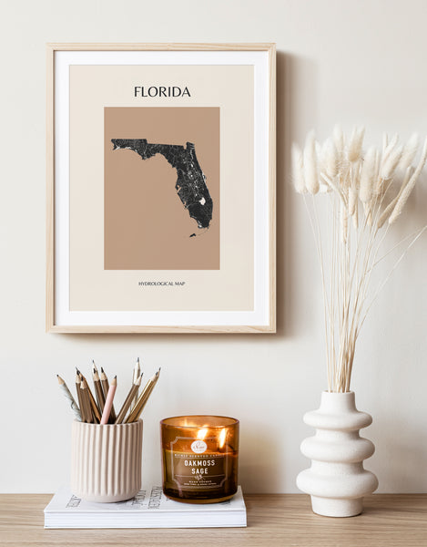 Florida Mid-Century Modern Hydrological Map