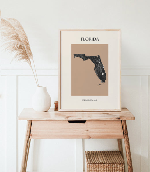 Florida Mid-Century Modern Hydrological Map