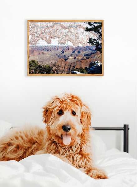 Grand Canyon National Park Artwork