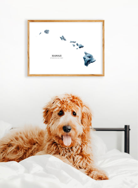 Hawaii Hydrological Map Poster Blue