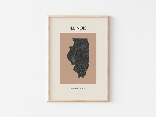 Illinois Mid-Century Modern Hydrological Map