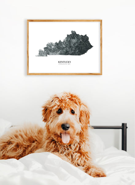 Kentucky Hydrological Map Poster Black