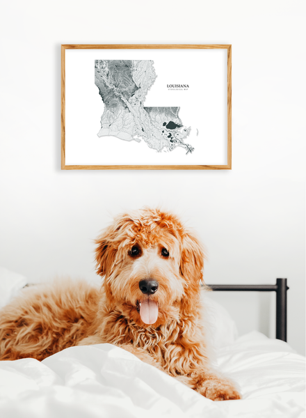 Louisiana Hydrological Map Poster Black