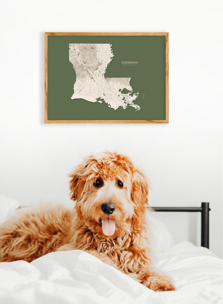 Louisiana Hydrological Map Poster Green