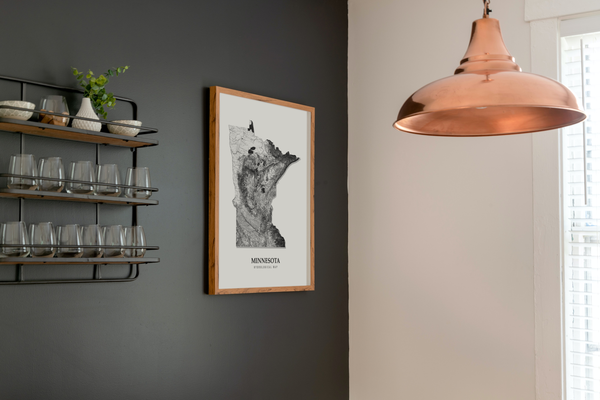 Minnesota Hydrological Map Poster Black