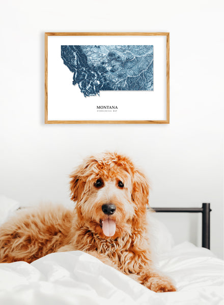 Montana Hydrological Map Blue