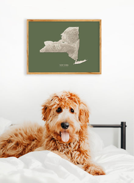 New York Hydrological Map Poster Green