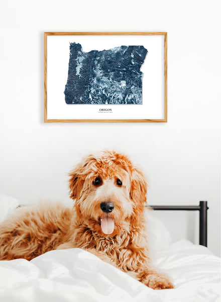 Oregon Hydrological Map Blue