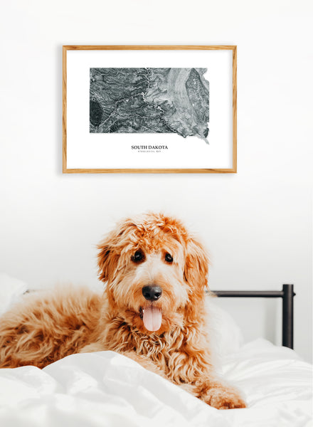 South Dakota Hydrological Map Poster Black