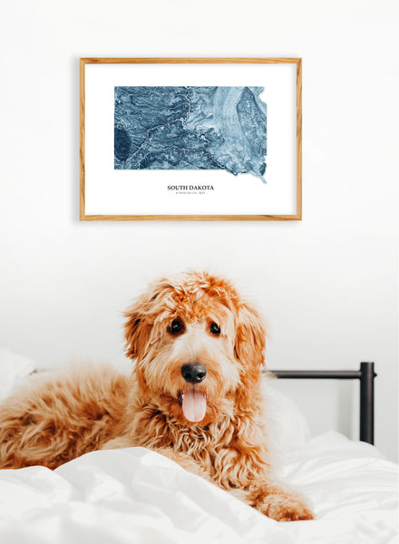 South Dakota Hydrological Map Poster Blue