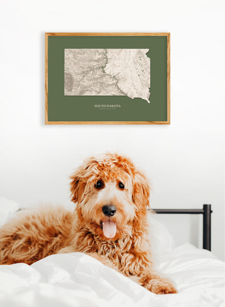 South Dakota Hydrological Map Poster Green