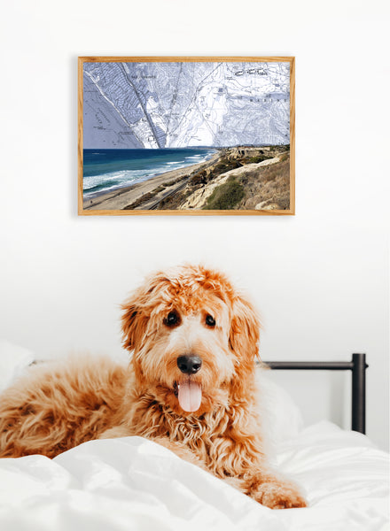 San Clemente State Beach Map Art