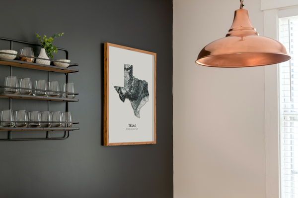 Texas Hydrological Map Poster Black