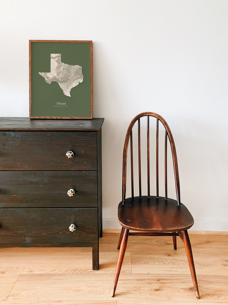 Texas Hydrological Map Poster Green