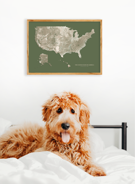 United States Hydrological Map Green