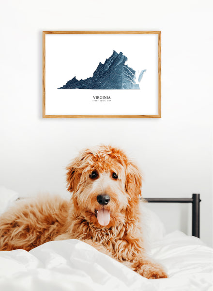 Virginia Hydrological Map Blue