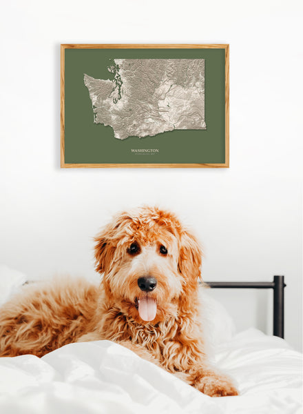 Washington Hydrological Map Poster Green