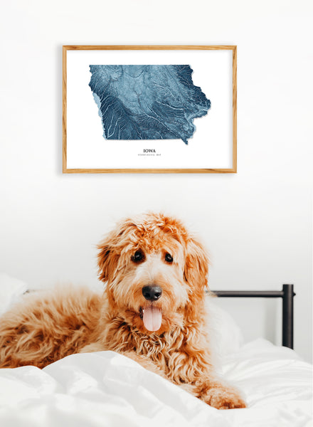 Iowa Hydrological Map Poster Blue