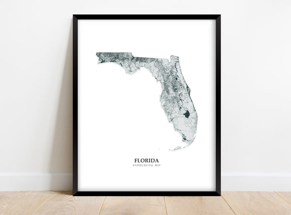 Florida Hydrological Map Poster Black