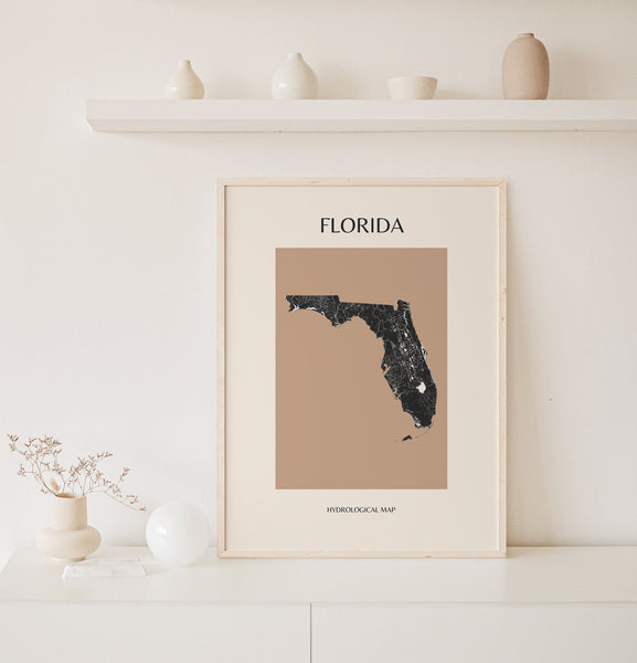 Florida Mid-Century Modern Hydrological Map