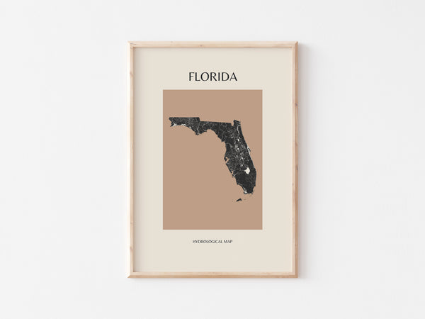 Florida Mid-Century Modern Hydrological Map