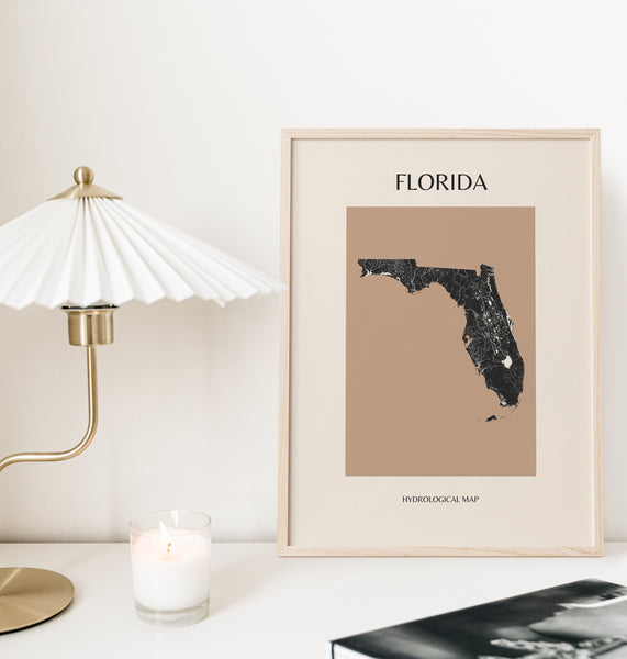 Florida Mid-Century Modern Hydrological Map