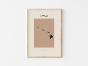 Hawaii Mid-Century Modern Hydrological Map