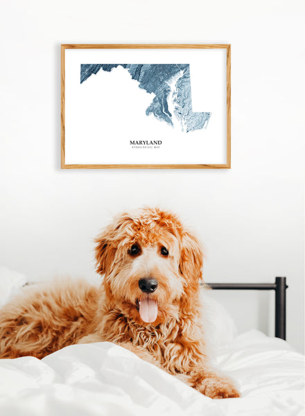 Maryland Hydrological Map Poster Blue