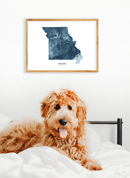 Missouri Hydrological Map Poster Blue