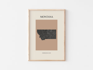 Montana Mid-Century Modern Hydrological Map