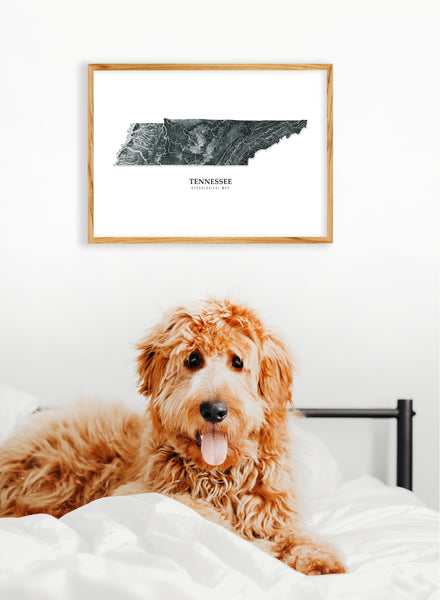 Tennessee Hydrological Map Poster Black