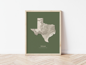Texas Hydrological Map Poster Green