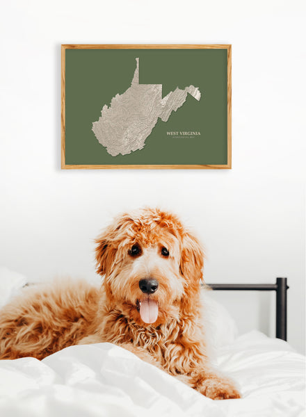 West Virginia Hydrological Map Poster Green